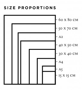 size proportions