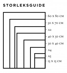 Storleksguide